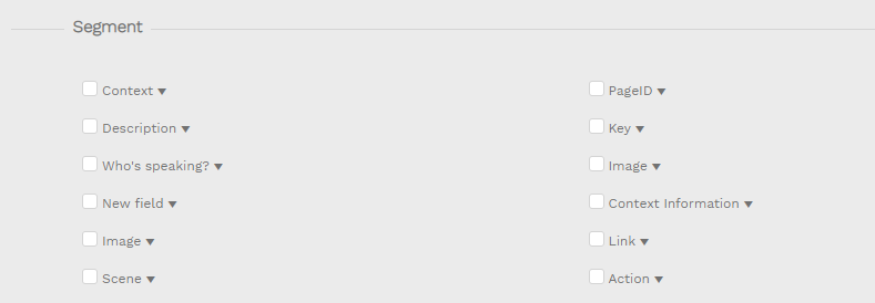 Segment settings Export.png