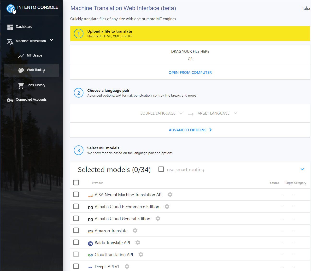 Intento web interface.jpg